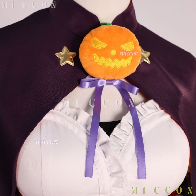 할로윈 성인 코스프레 리프라이드 인 어 디퍼런트 월드  - Re Zero Rem Wig 리뷰 및 가격